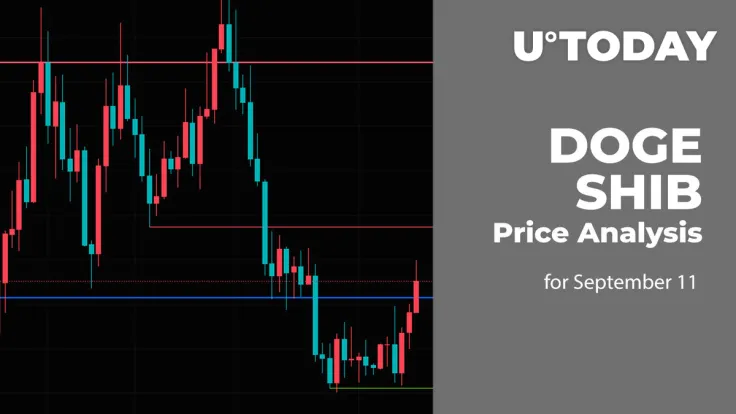 DOGE and SHIB Price Analysis for September 11