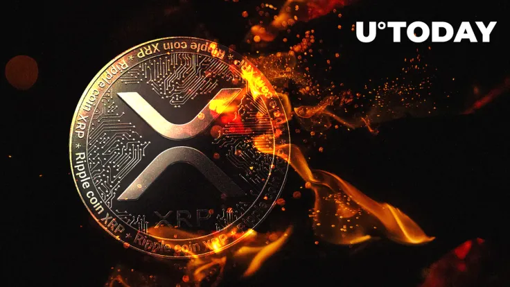 636 Million XRP Moved by Ripple and Whales as XRP Rises 7% in Past Week