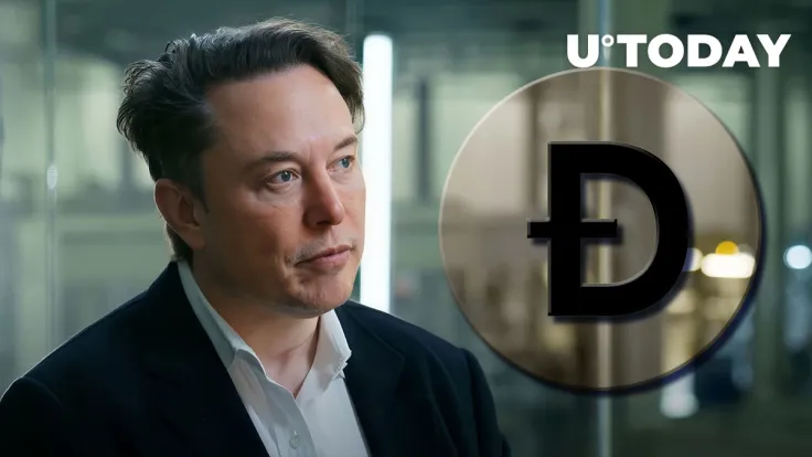 Elon Musk Joins Dogecoin Designer in Addressing Twitter CEO About Crypto Bots