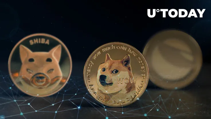 SHIB, DOGE, LUNC: Here's Who New Crypto Memeking Is