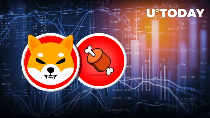 Shiba Inu's BONE Price Suddenly Spikes 20%, Trading Volumes Surge 255%