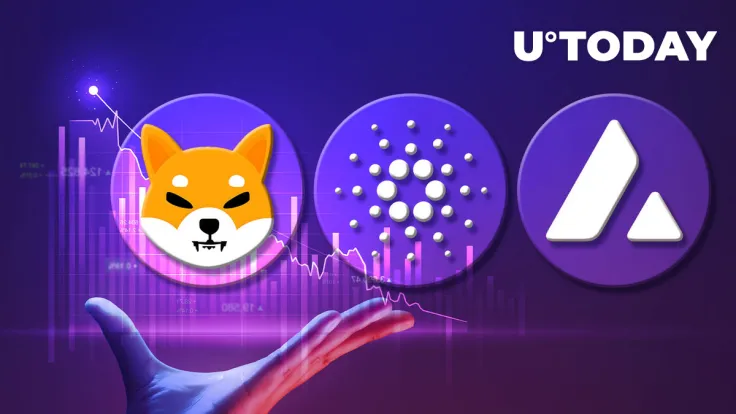 ADA, SHIB, AVAX Unexpectedly Decline by 6% as Market Selling Pressure Returns