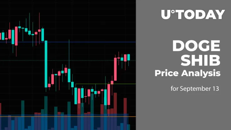 DOGE and SHIB Price Analysis for September 13