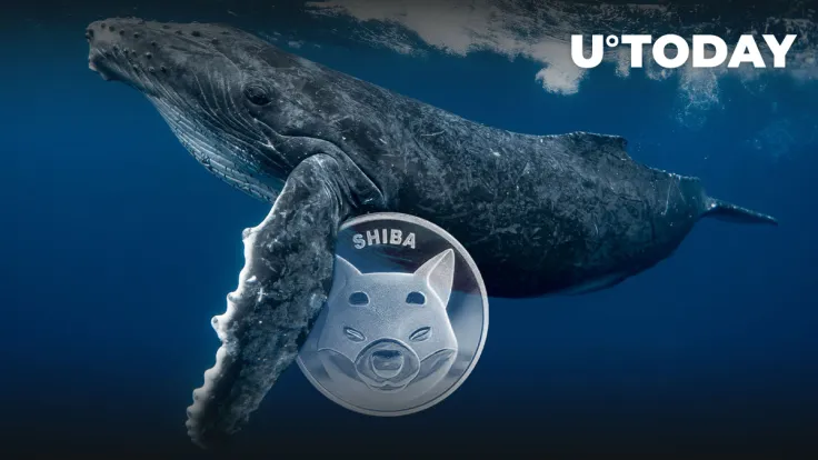 Whales Grab 1.6 Trillion SHIB, Here’s What Made Them Do It