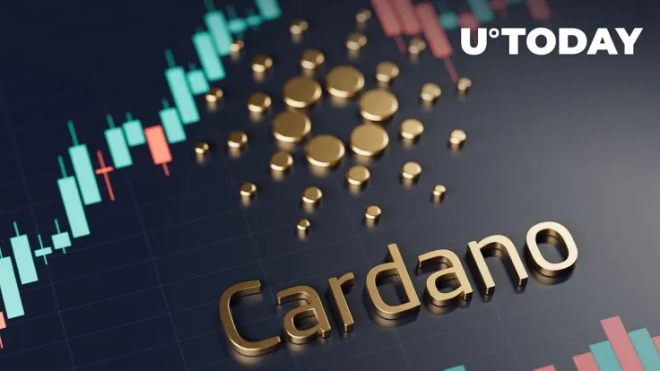 Cardano Users Should Watch These Crucial Dates on Road to Vasil: Details