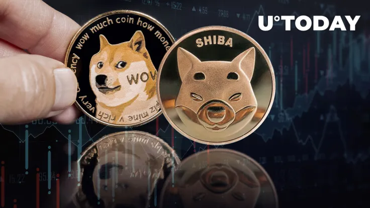 Shiba Inu-Dogecoin-Led Meme Economy Sees 16% Jump in Trading Volumes Amid Market Drop