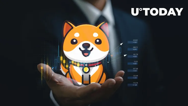 BabyDoge Holder Number Again Surpasses SHIB's After Reaching New All-Time High