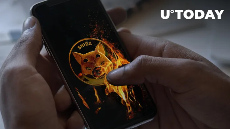 Billions of SHIB Could Be Burned with This New App: Details 