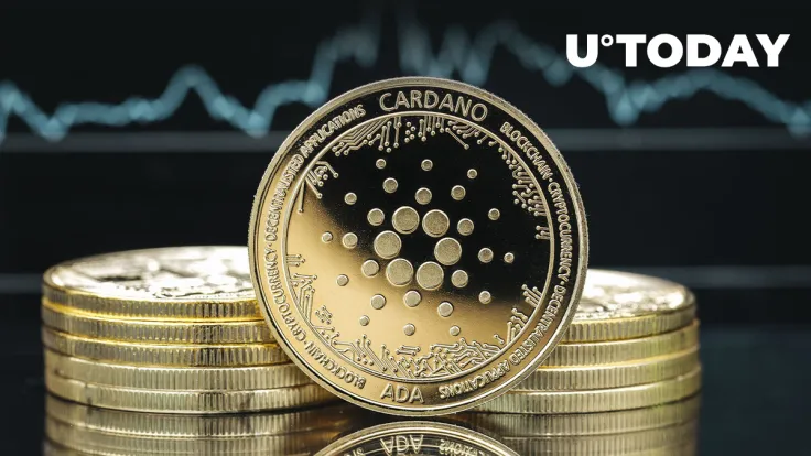Cardano Records Millions More in Transactions Since Vasil Announcement