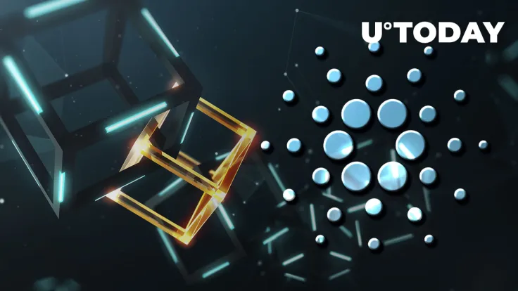 Cardano's Transaction Chaining Improves Network's Decentralization, Here's How