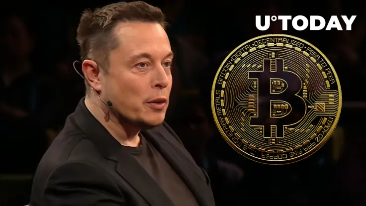 Doge Cofounder Kind of Reminds Elon Musk about Bitcoin