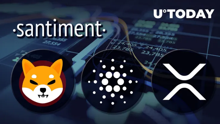 SHIB, XRP, ADA Face High Interest in Crypto Community: Santiment