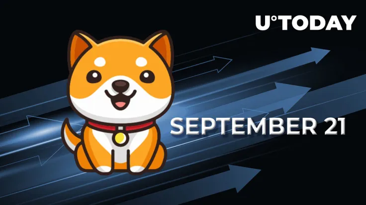 BabyDoge Team to Name Mainnet Launch on September 21