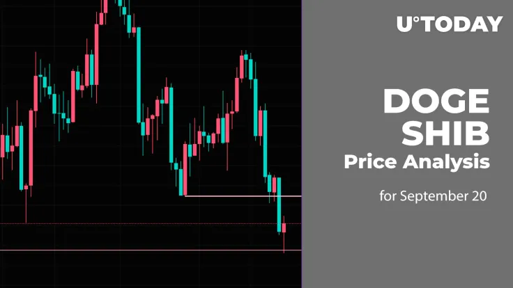 DOGE and SHIB Price Analysis for September 20