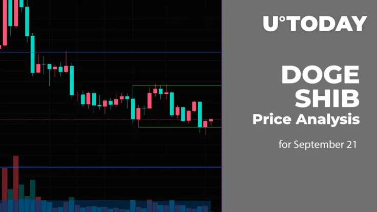 DOGE and SHIB Price Analysis for September 21