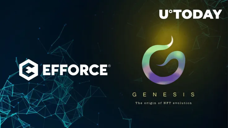 Steve Wozniak-Inspired Genesis NFTs Launched by EFFORCE