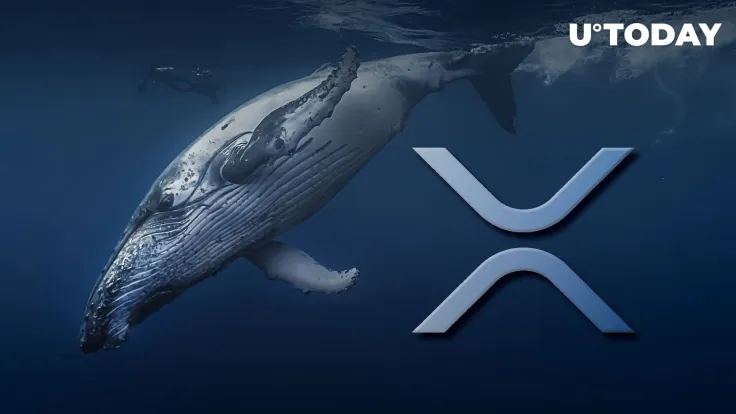 Here's How XRP Whales Have Acted for Last 2 Years as XRP Sets One-year Record Against Bitcoin