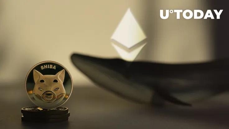 Large Ethereum Whales Grab 4.5 Trillion Shiba Inu As Price Begins to Recover