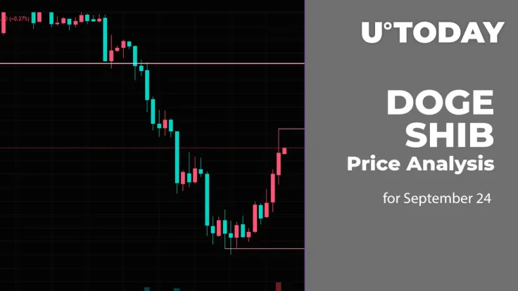 DOGE and SHIB Price Analysis for September 24