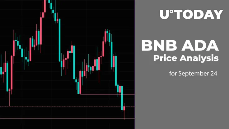BNB and ADA Price Analysis for September 24