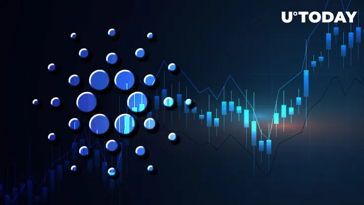 Cardano Records Eighth Consecutive Week with Positive Funds Flow: Details