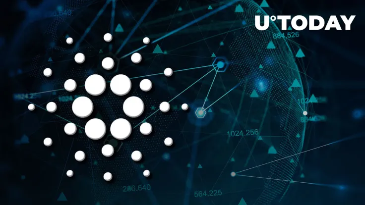 Cardano Vasil: Here's How Network Looks Three Days Later