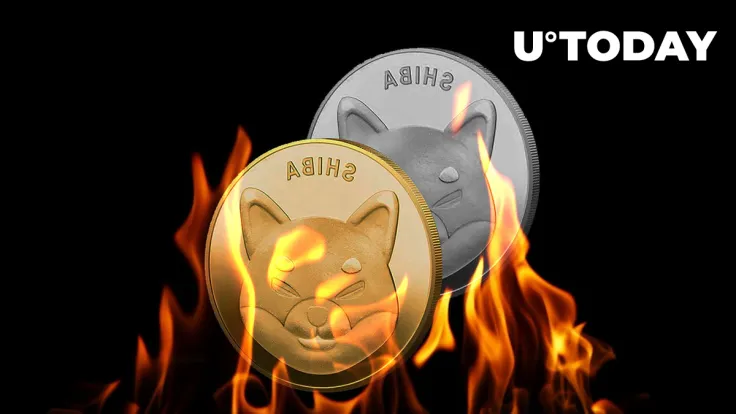 SHIB Burn Rate Surges 103% as Mysterious Wallets Destroy Enormous Sum in Shiba Inu