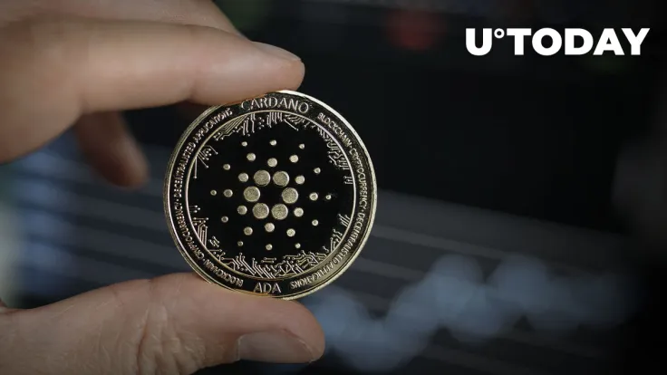 Cardano: Backlash Arises over Funding of Wallet "Daedalus Turbo," Here's Reason