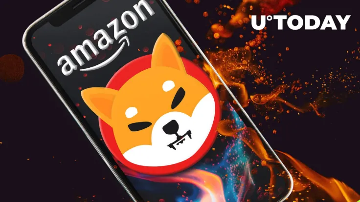 "Amazon SHIB Burner" Sets Record by Destroying Highest Monthly Amount This Year