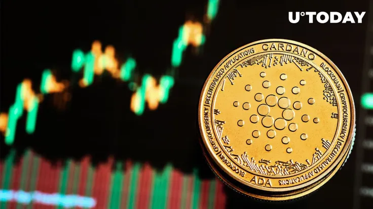 This Is Why Cardano Performed Best Among Top 10 Cryptocurrencies in Last 7 Days