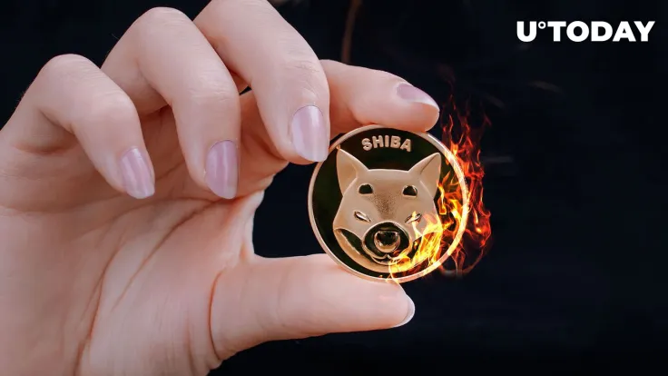 Shiba Inu Lead Developer Provides Important Update on SHIB Burning Mechanism