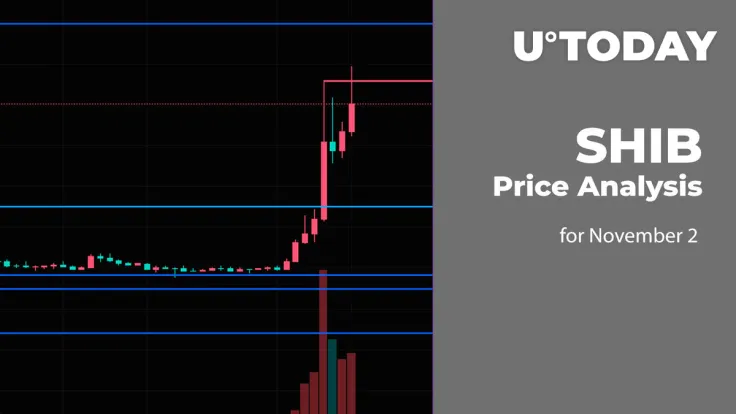 SHIB Price Analysis for November 2