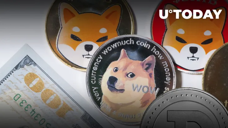 SHIB Price Jumped 7.5% as DOGE Correlation Broke Down, This Is What Happened