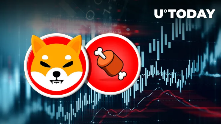 Shiba Inu's BONE Outperforming SHIB, This Might Be Why
