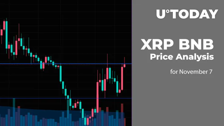 XRP and BNB Price Analysis for November 7