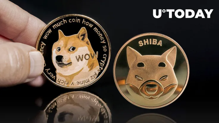Doge Founder Slams Shiba Inu, Here's What for This Time