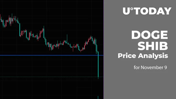 DOGE and SHIB Price Analysis for November 9