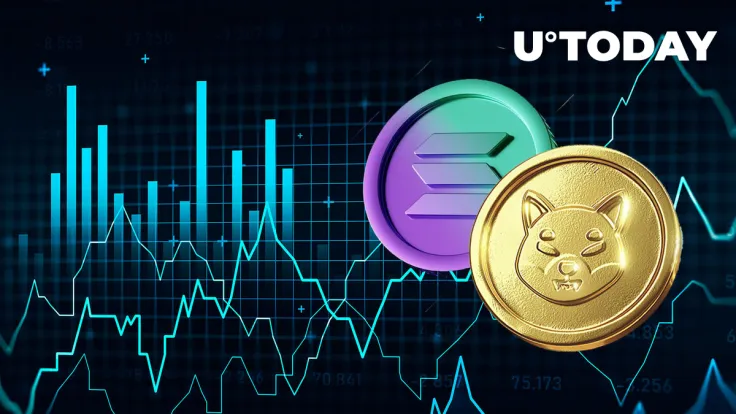 Shiba Inu Flips Solana in Market Cap, Here's What's Happening