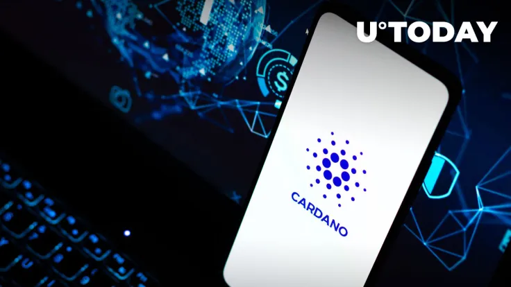 Cardano Network Activity Spikes on FTX Crash, Here's Detailed Insight