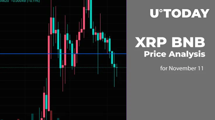XRP and BNB Price Analysis for November 11