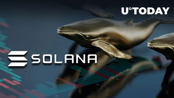 SOL Price Drop Makes BNB Whales Pick It up Massively