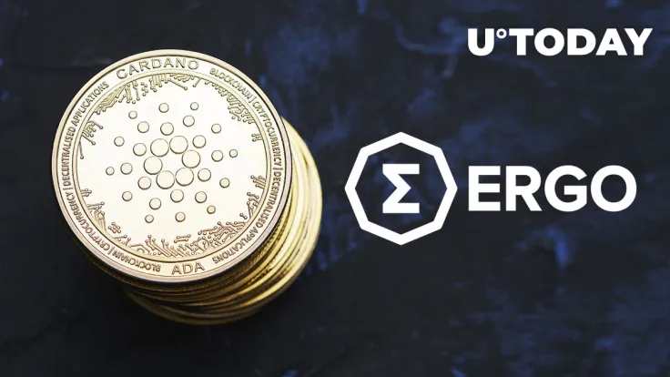 Cardano's Groundbreaking Fee Mechanism Adopted by This L1 Blockchain: Details