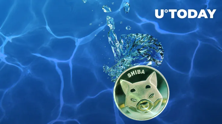 Shiba Inu Returns to Bottom Again, What's Next?