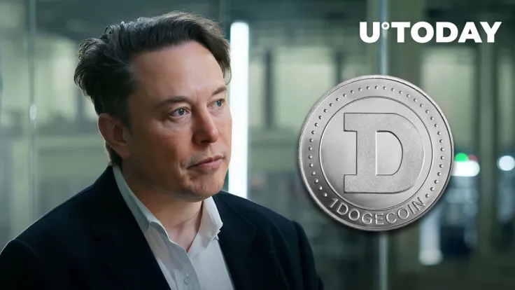 DOGE Did Not Pump on Elon Musk's Words & Thankfully So, Here's Why