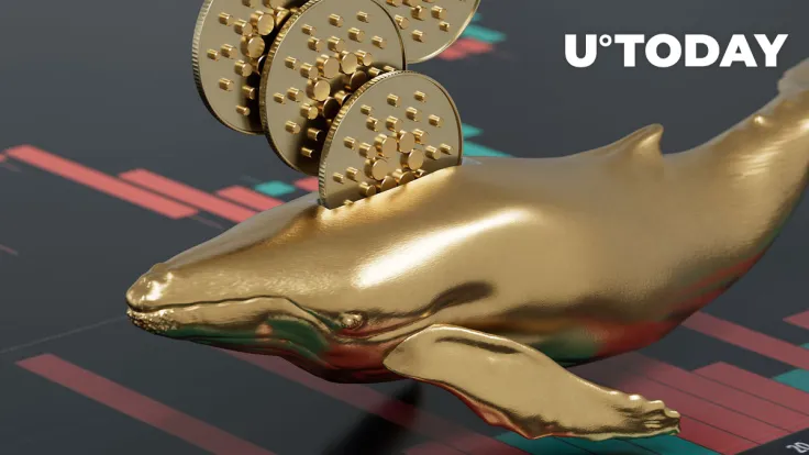 Cardano Sees Sudden Interest from Whales, Here's Why