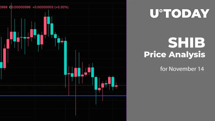 SHIB Price Analysis for November 14