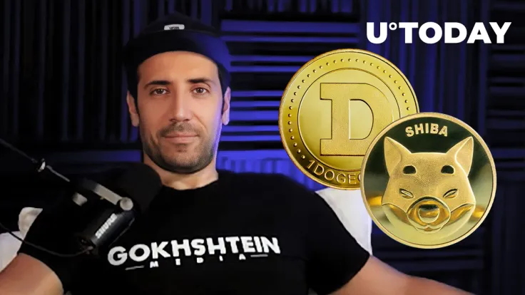 I'll Keep Getting DOGE and SHIB, Other Meme Coins in Question: David Gokhshtein