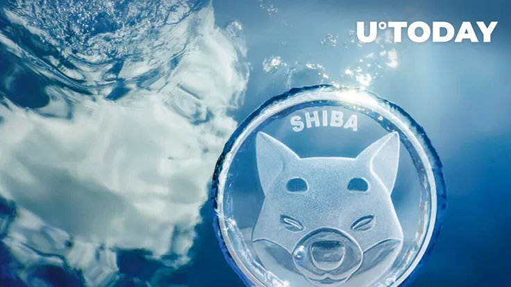 SHIB Price May Have Found Its Bottom, Here's What's Next