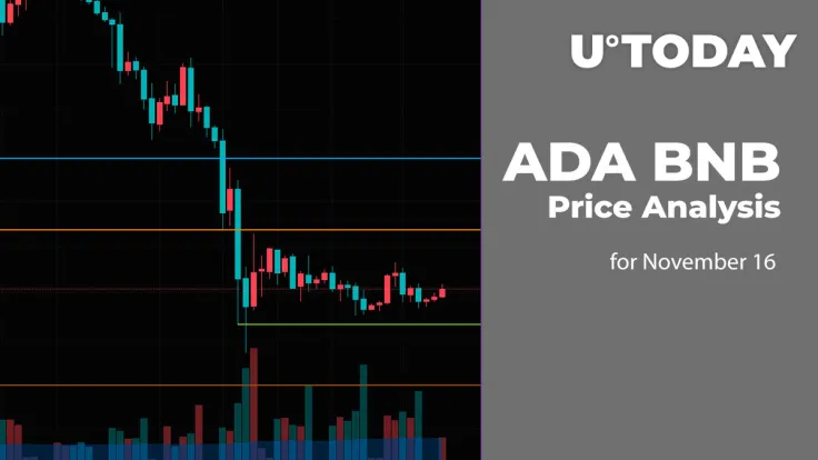 ADA and BNB Price Analysis for November 16