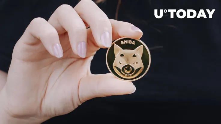 SHIB Sets New Record in This Metric, Price Weighs Next Move